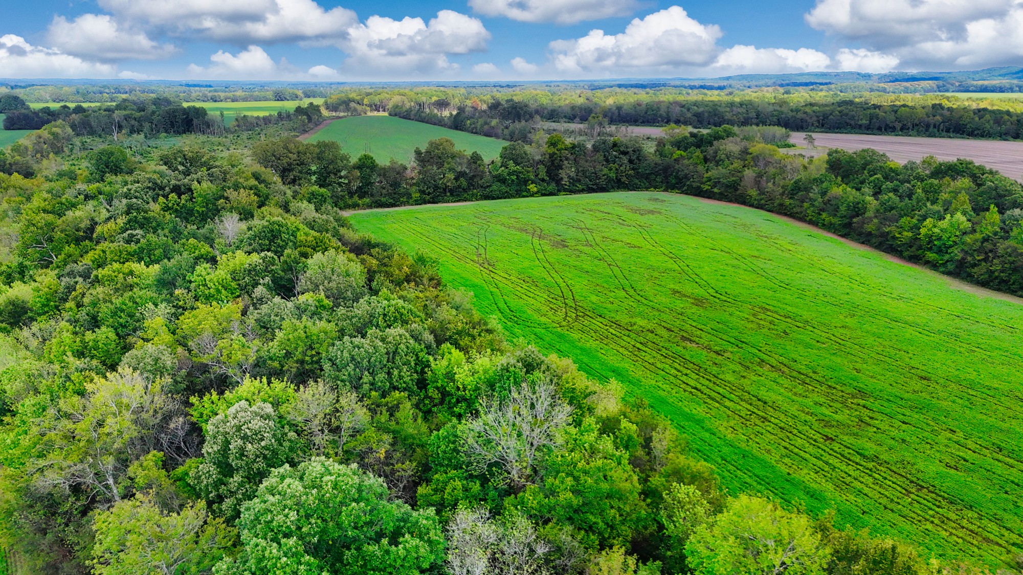 0 Pittsburg Landing Road Savannah, TN 38372 - Photo 57 of 66 Gallery Image 57
