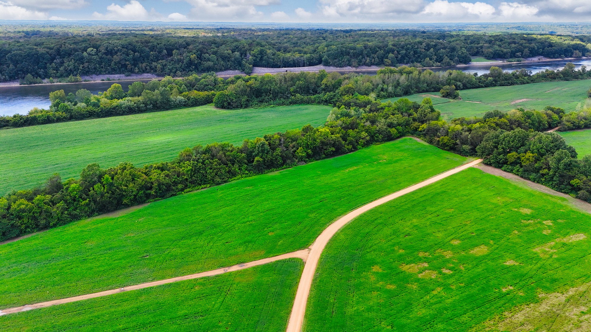 0 Pittsburg Landing Road Savannah, TN 38372 - Photo 59 of 66 Gallery Image 59