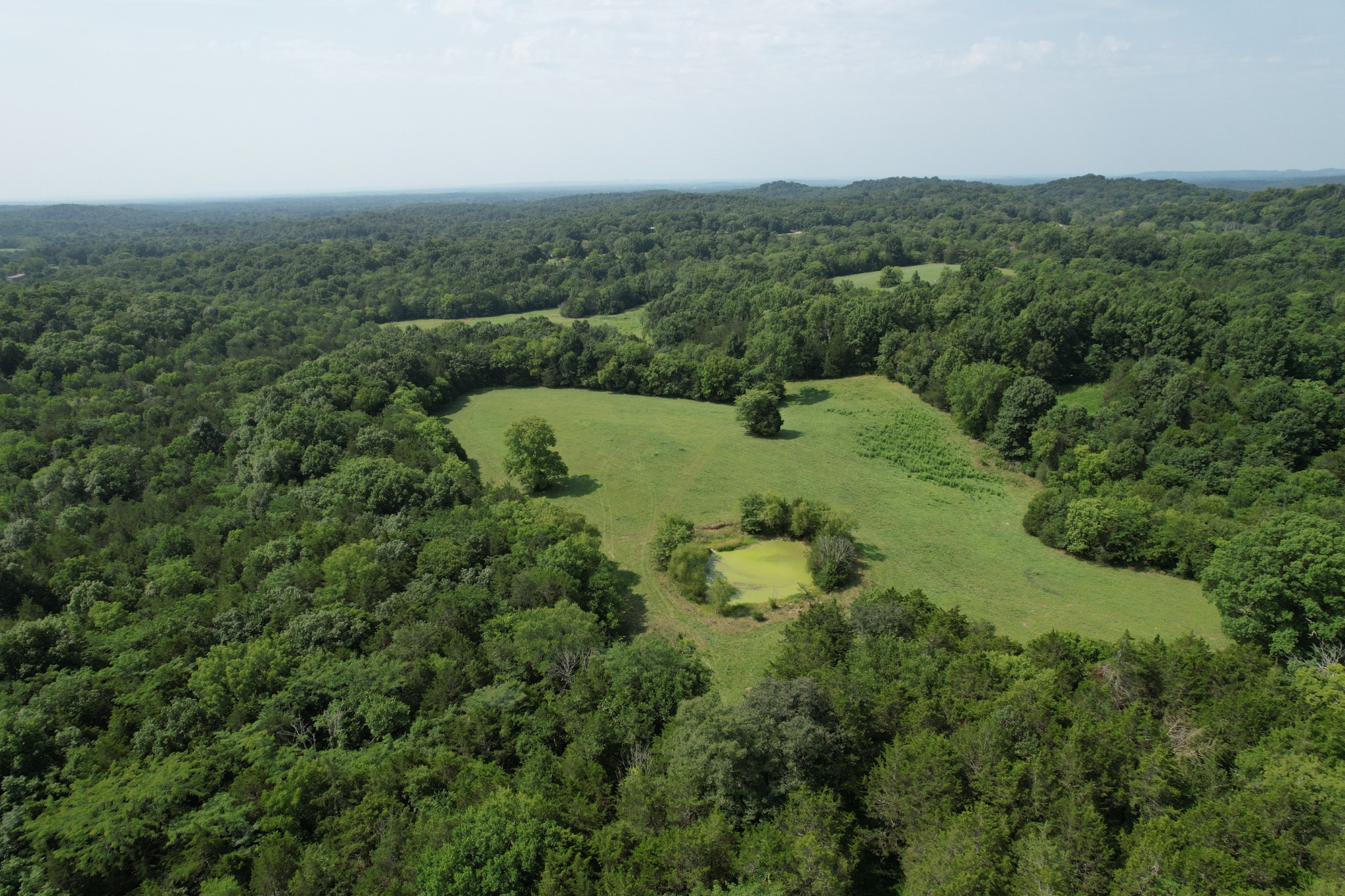 0 Flat Creek Road Spring Hill, TN 37174 - Photo 6 of 26 Gallery Image 6