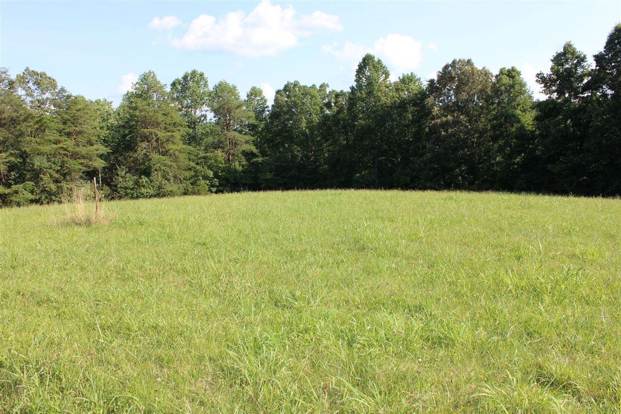 3588 Cherry Spring Road Cub Run, KY 42729 - Photo 12 of 22 Gallery Image 12