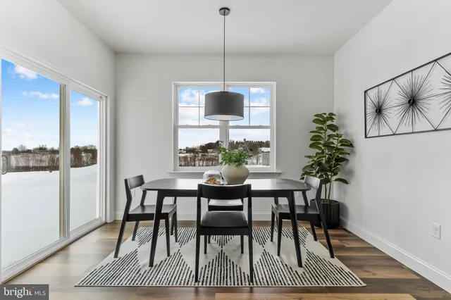 a living room with furniture potted plant and a window