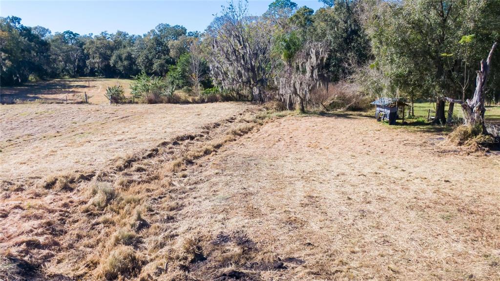 South Forbes Road Dover, FL 33527 - Photo 12 of 17