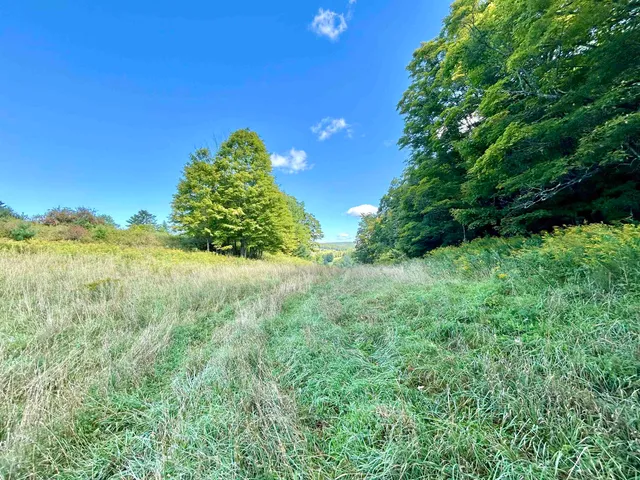 $625,000 | 0 Corinth Road, Chelsea, VT 05038