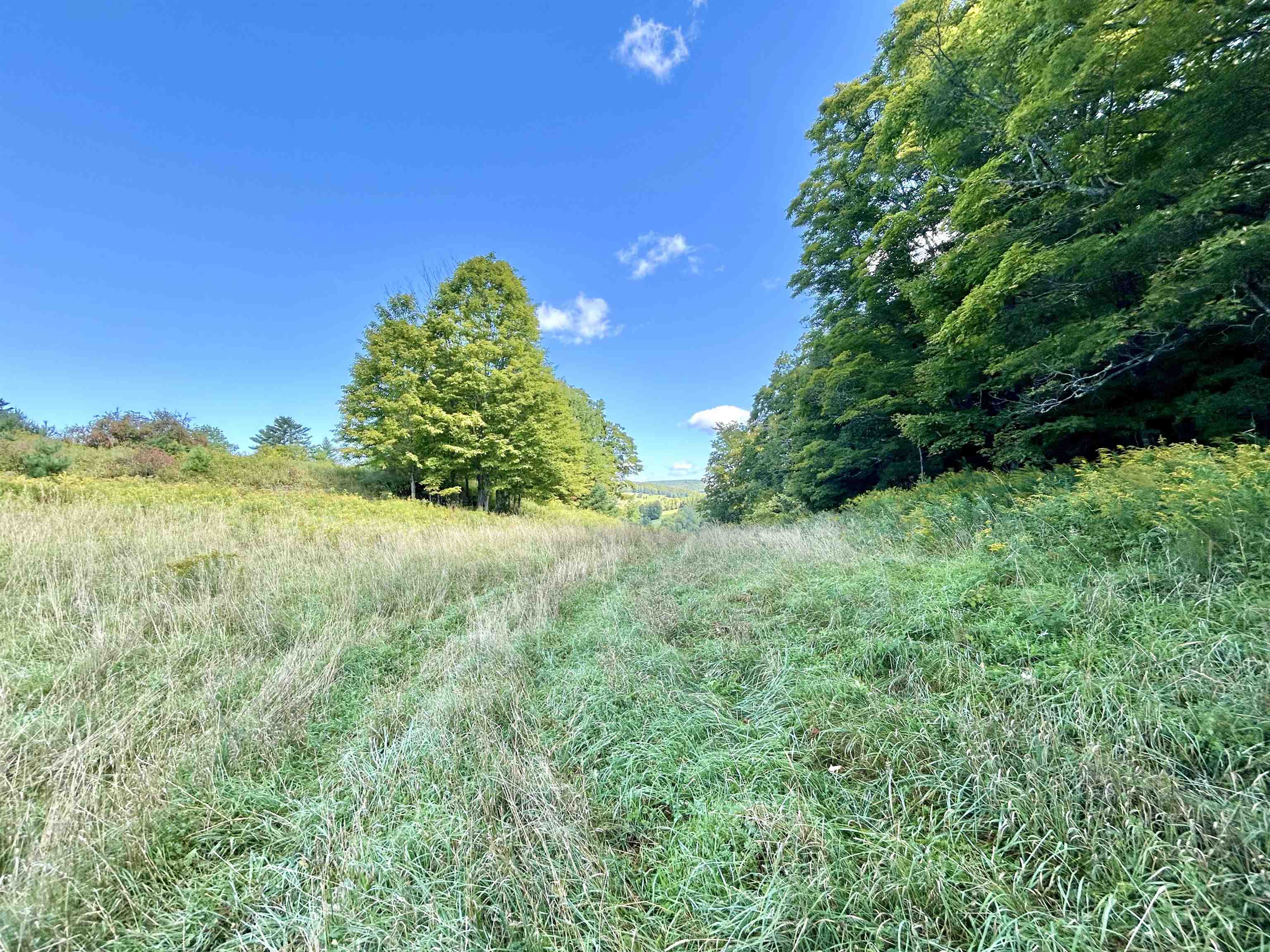 0 Corinth Road Chelsea, VT 05038 - Photo 17 of 27