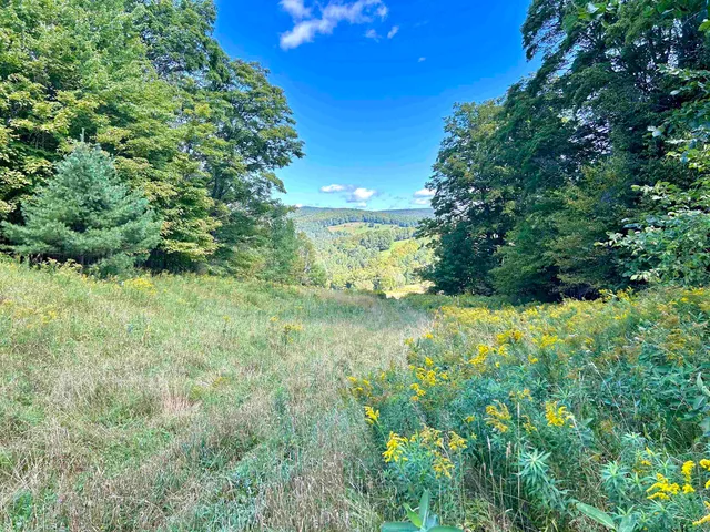 $625,000 | 0 Corinth Road, Chelsea, VT 05038