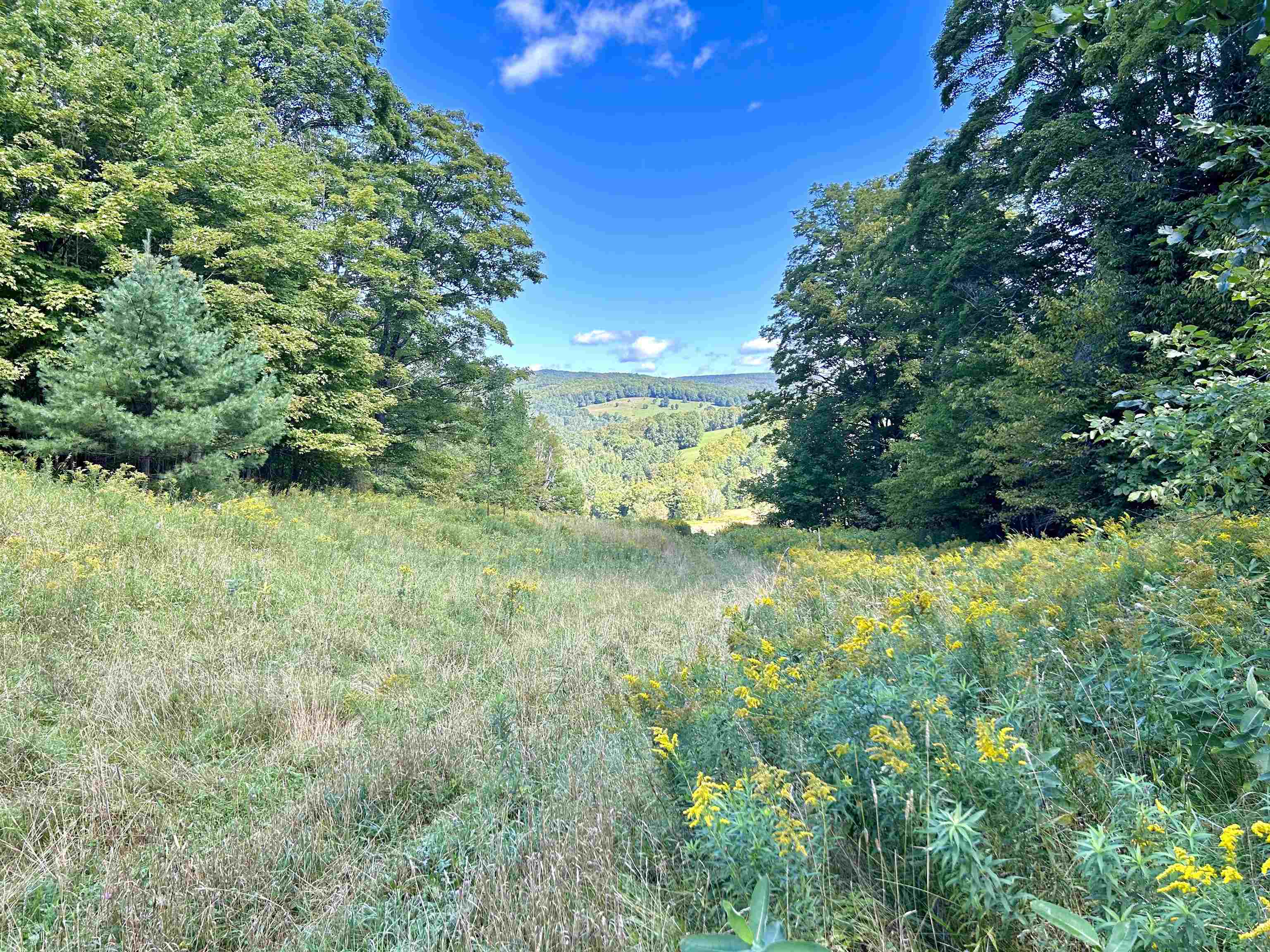 0 Corinth Road Chelsea, VT 05038 - Photo 3 of 27