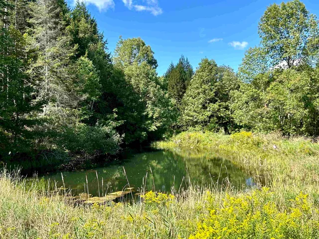 $625,000 | 0 Corinth Road, Chelsea, VT 05038