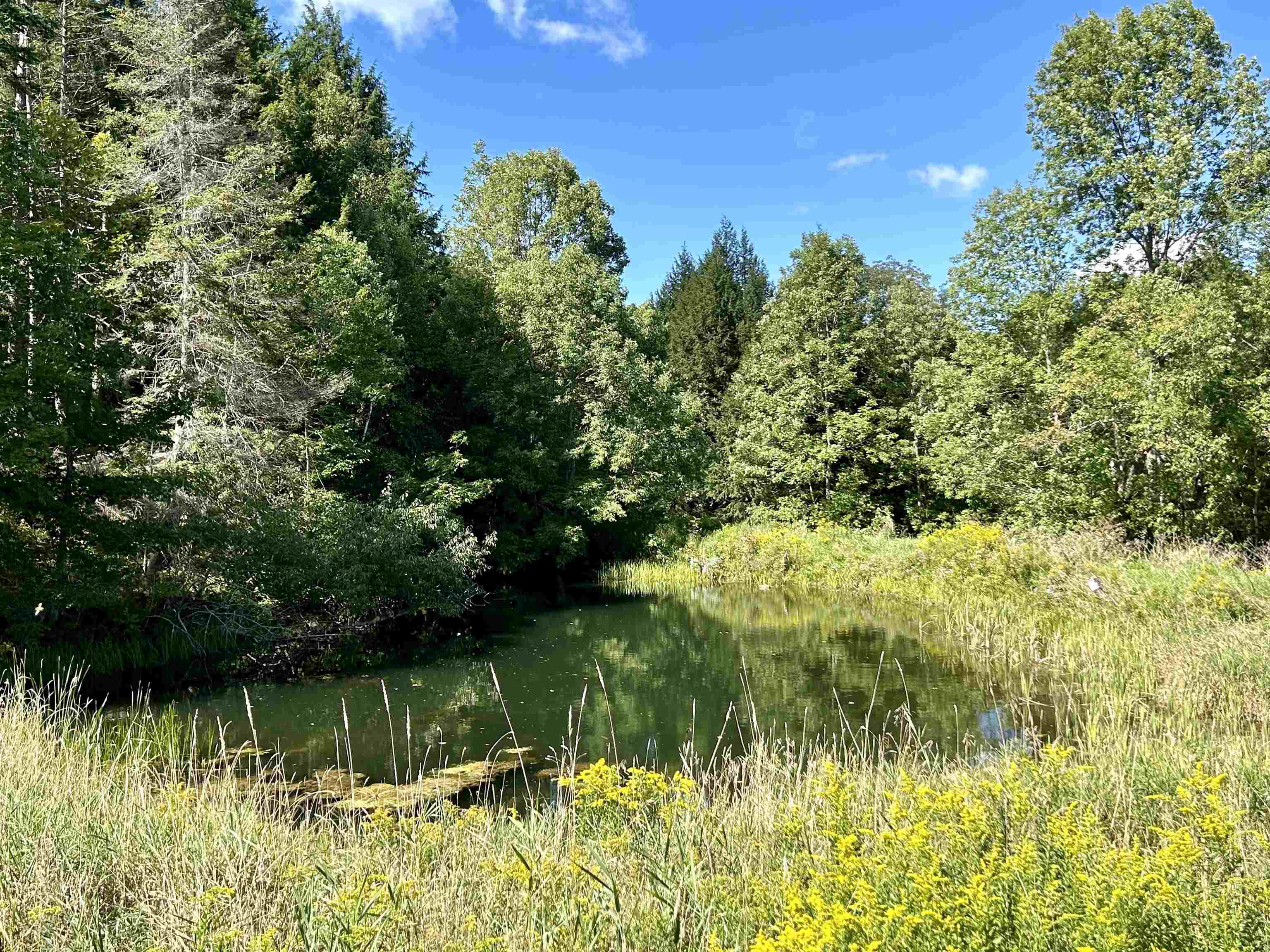 0 Corinth Road Chelsea, VT 05038 - Photo 4 of 27