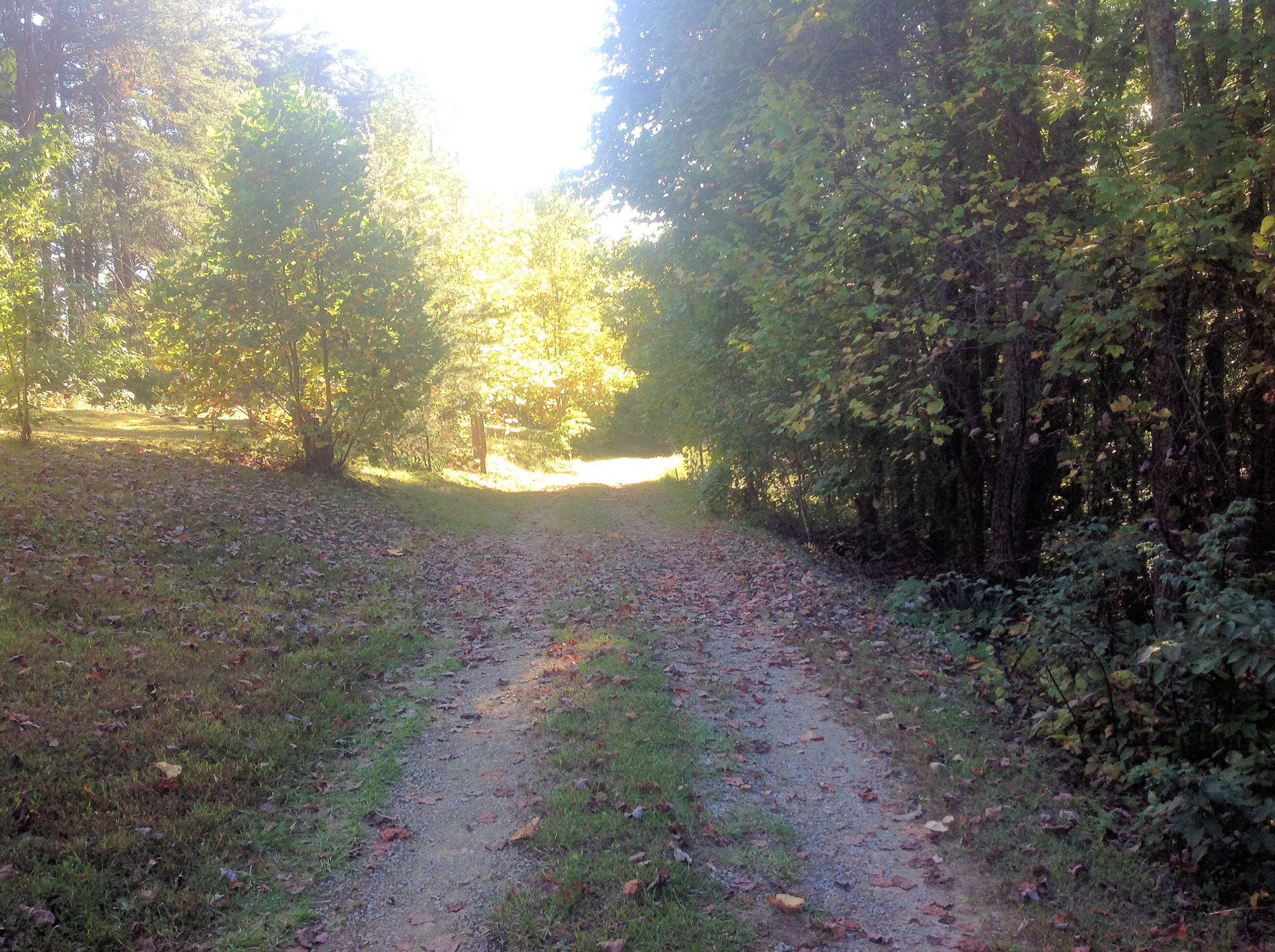 581 Taylor Road Pikeville, TN 37367 - Photo 17 of 37 DRIVEWAY VIEW 2