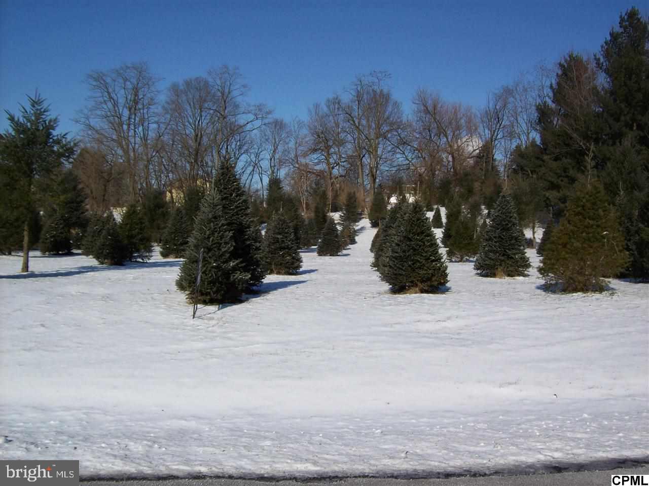 Ws Mill Road Newmanstown, PA 17073 - Photo 1 of 1 Gallery Image 1