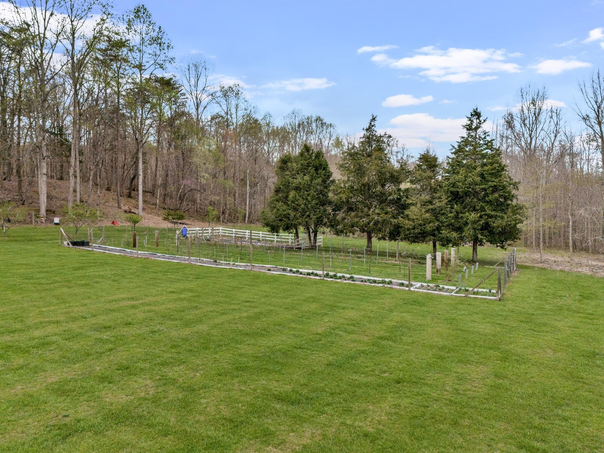 4597 Bell Branch Road Nunnelly, TN 37137 - Photo 12 of 19 Gallery Image 12