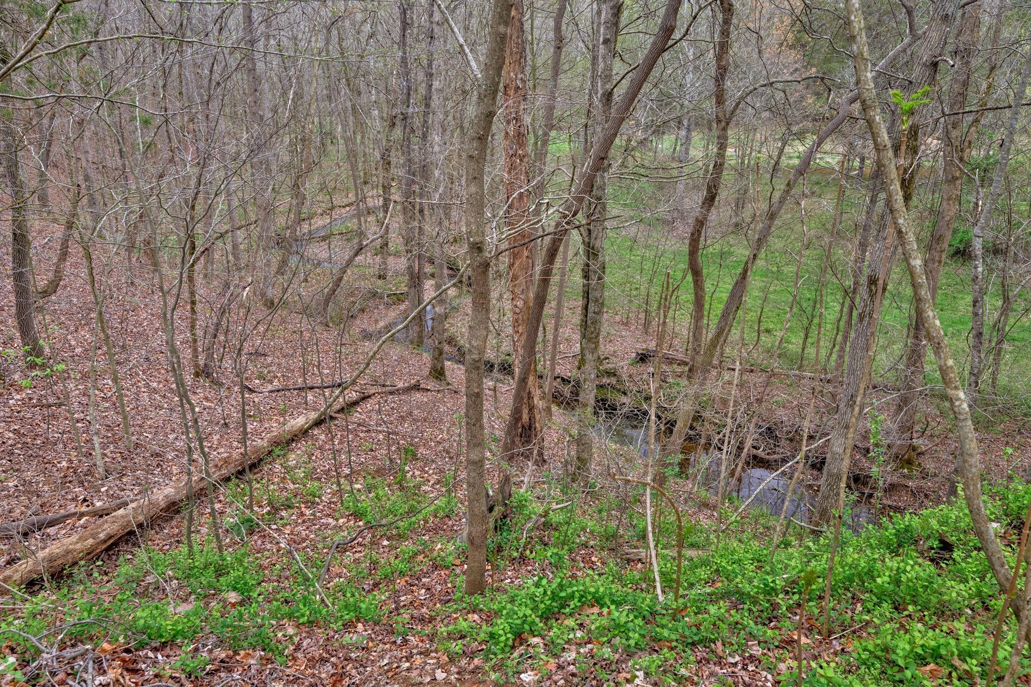 4597 Bell Branch Road Nunnelly, TN 37137 - Photo 8 of 19 Gallery Image 8
