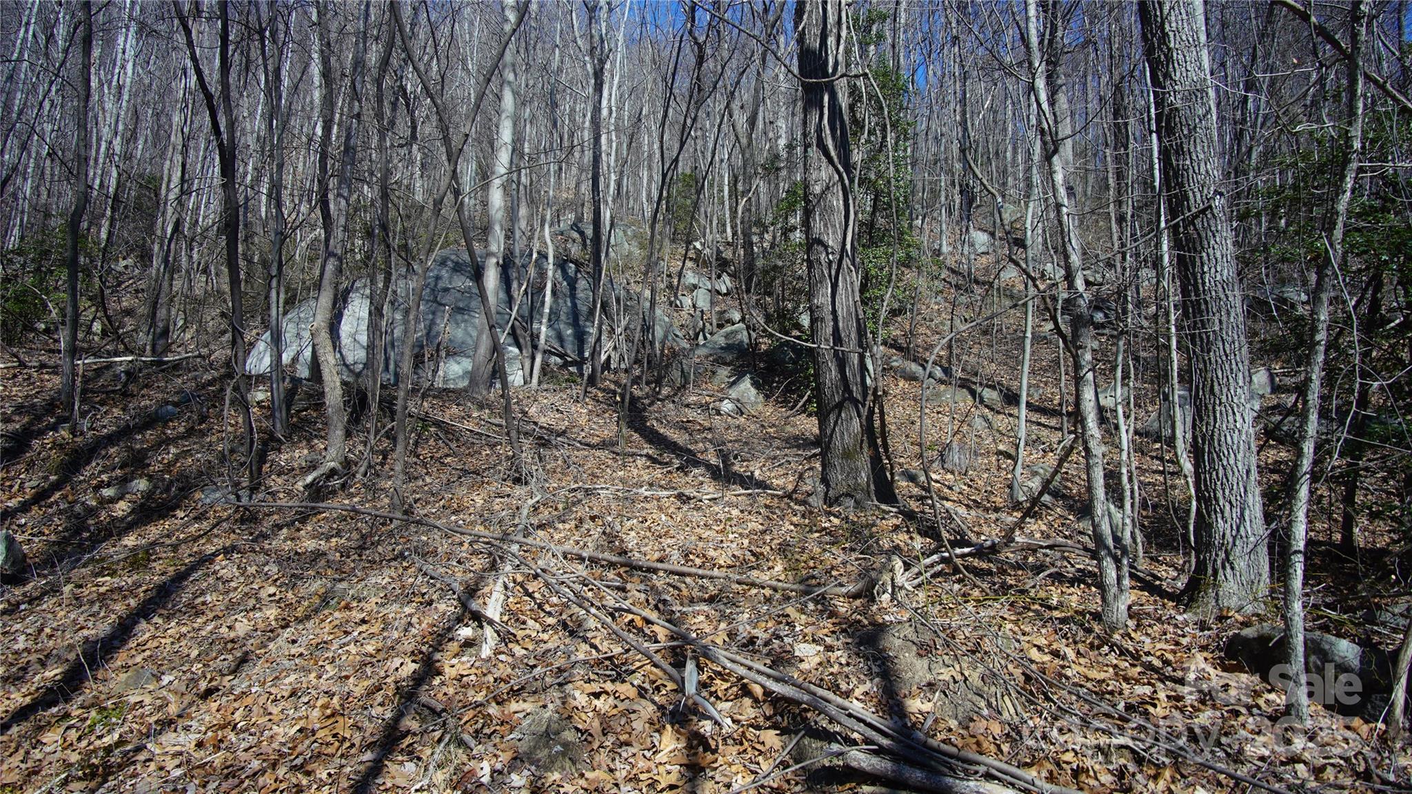 0 Vannoy Ridge Road Moravian Falls, NC 28654 - Photo 11 of 41 a view of a backyard with trees