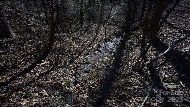 a view of a backyard with trees
