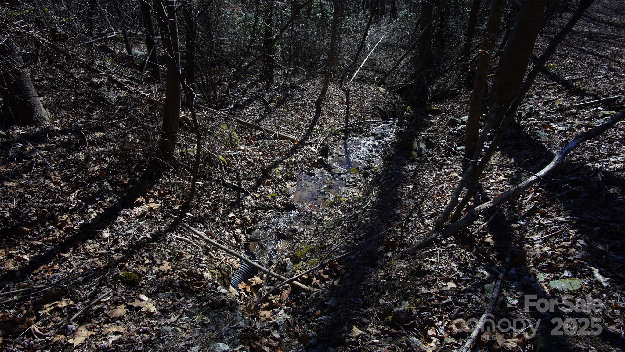 0 Vannoy Ridge Road Moravian Falls, NC 28654 - Photo 14 of 41