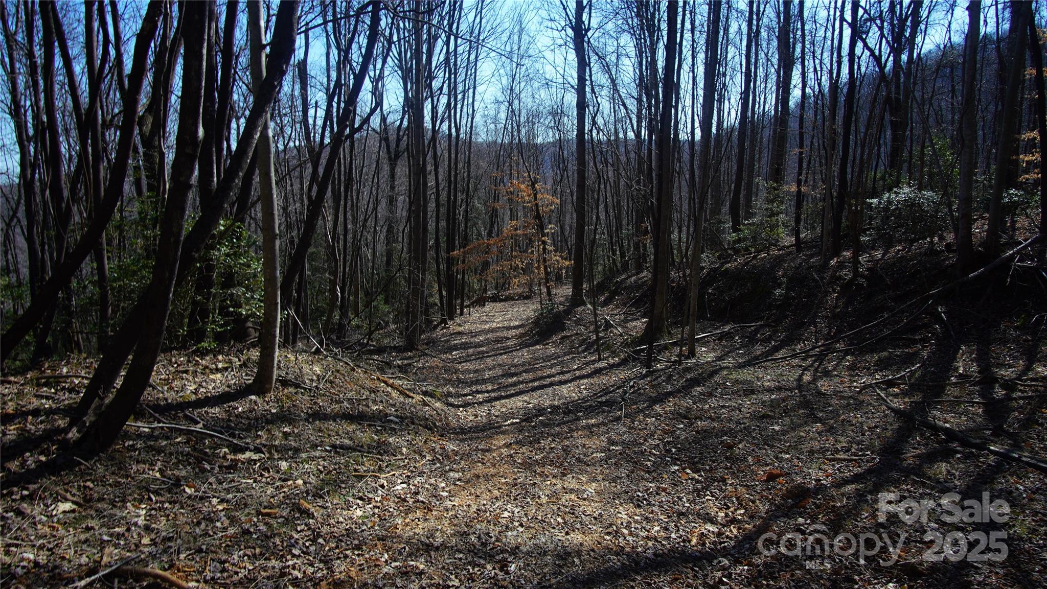 0 Vannoy Ridge Road Moravian Falls, NC 28654 - Photo 15 of 41 a view of a backyard with trees