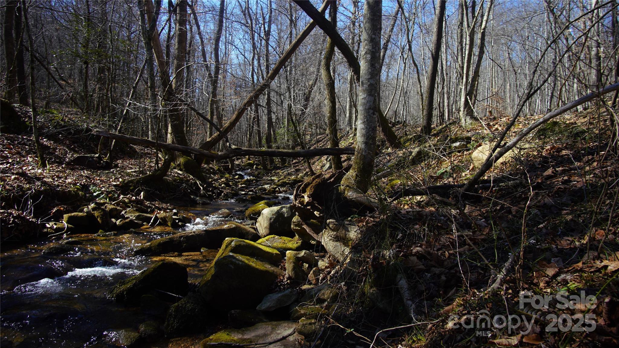 0 Vannoy Ridge Road Moravian Falls, NC 28654 - Photo 16 of 41 a backyard of a house with lots of green space