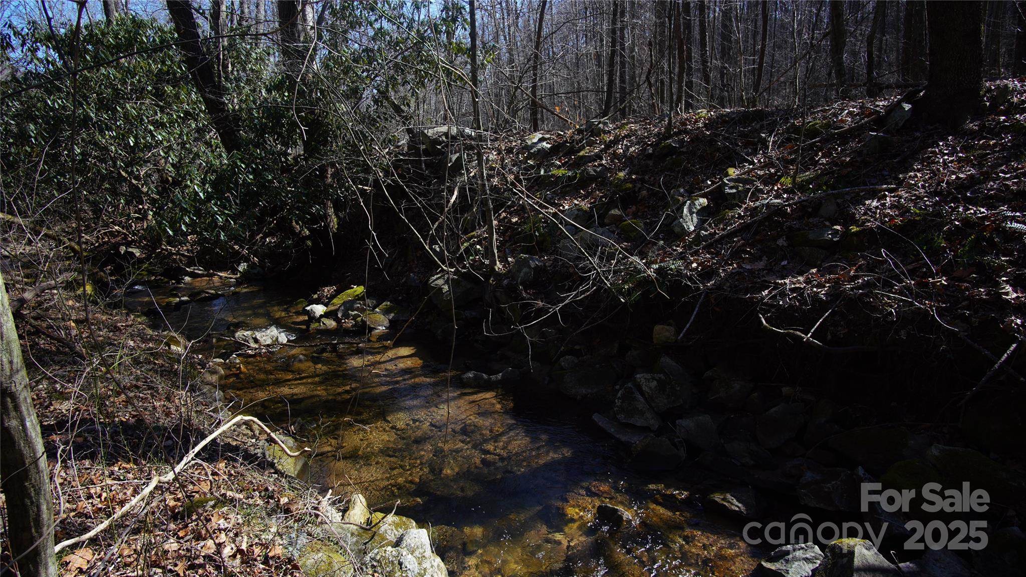 0 Vannoy Ridge Road Moravian Falls, NC 28654 - Photo 18 of 41 a view of a backyard of the house