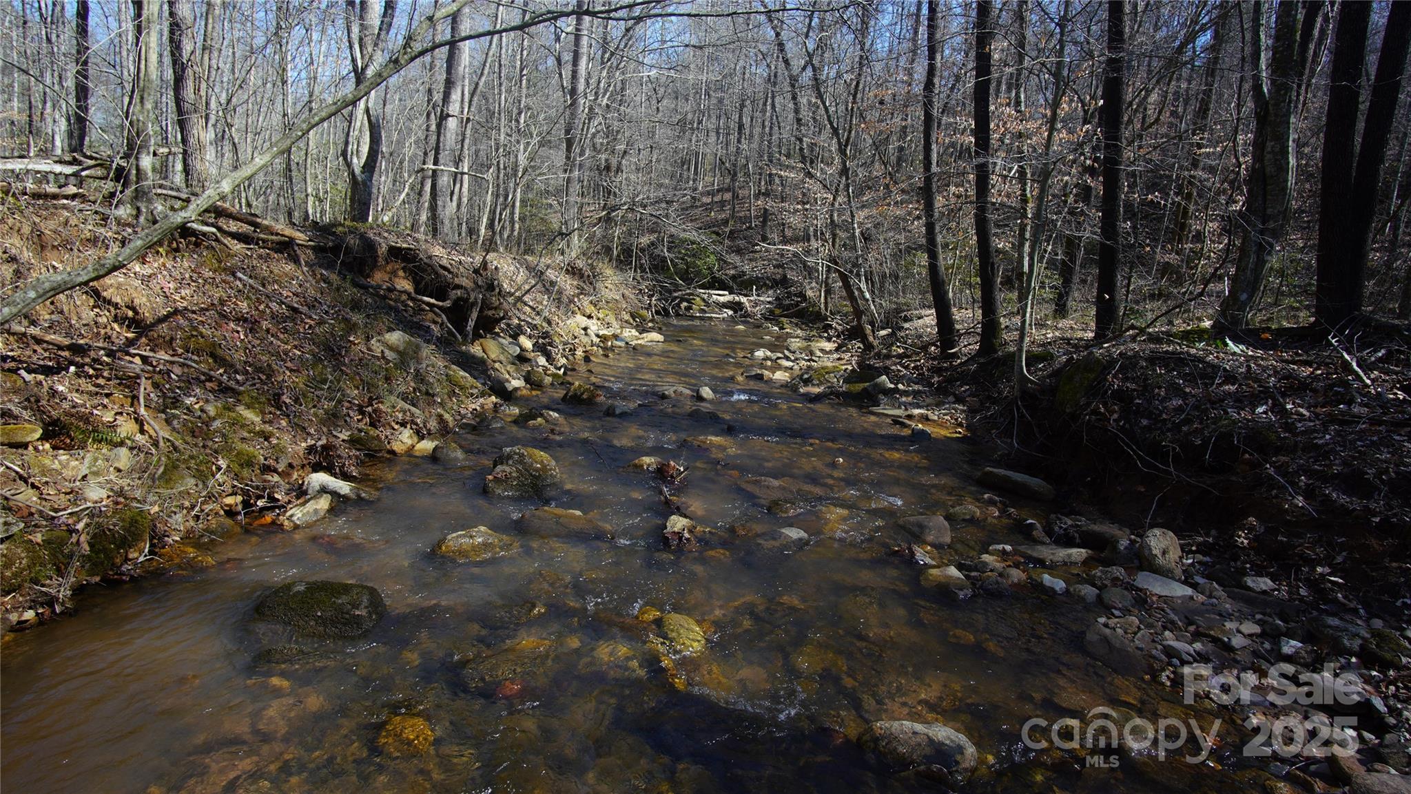 0 Vannoy Ridge Road Moravian Falls, NC 28654 - Photo 19 of 41 a view of outdoor space and a yard