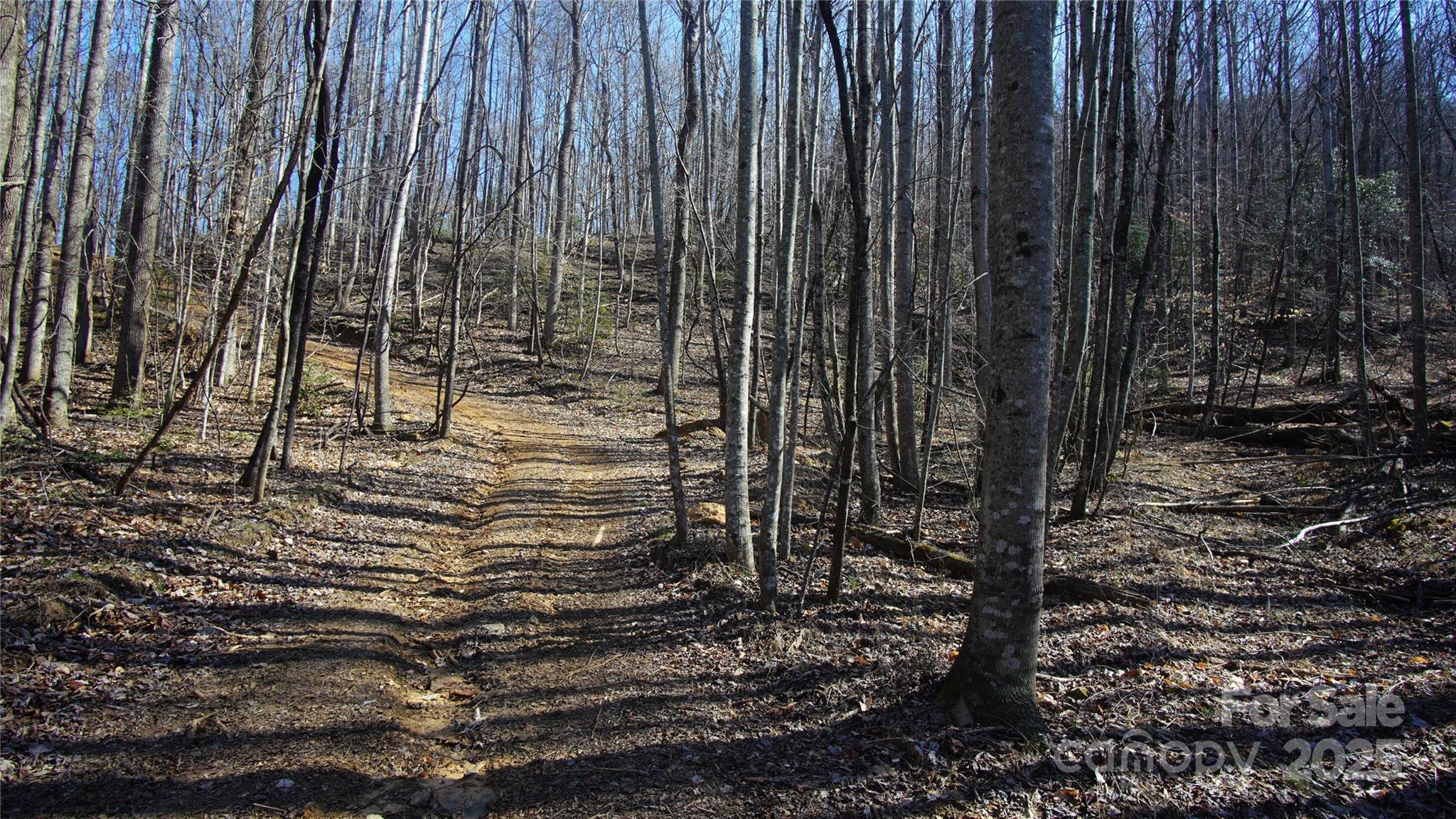 0 Vannoy Ridge Road Moravian Falls, NC 28654 - Photo 20 of 41 a view of a pathway of a yard with wooden fence