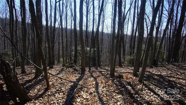 a view of wooden fence