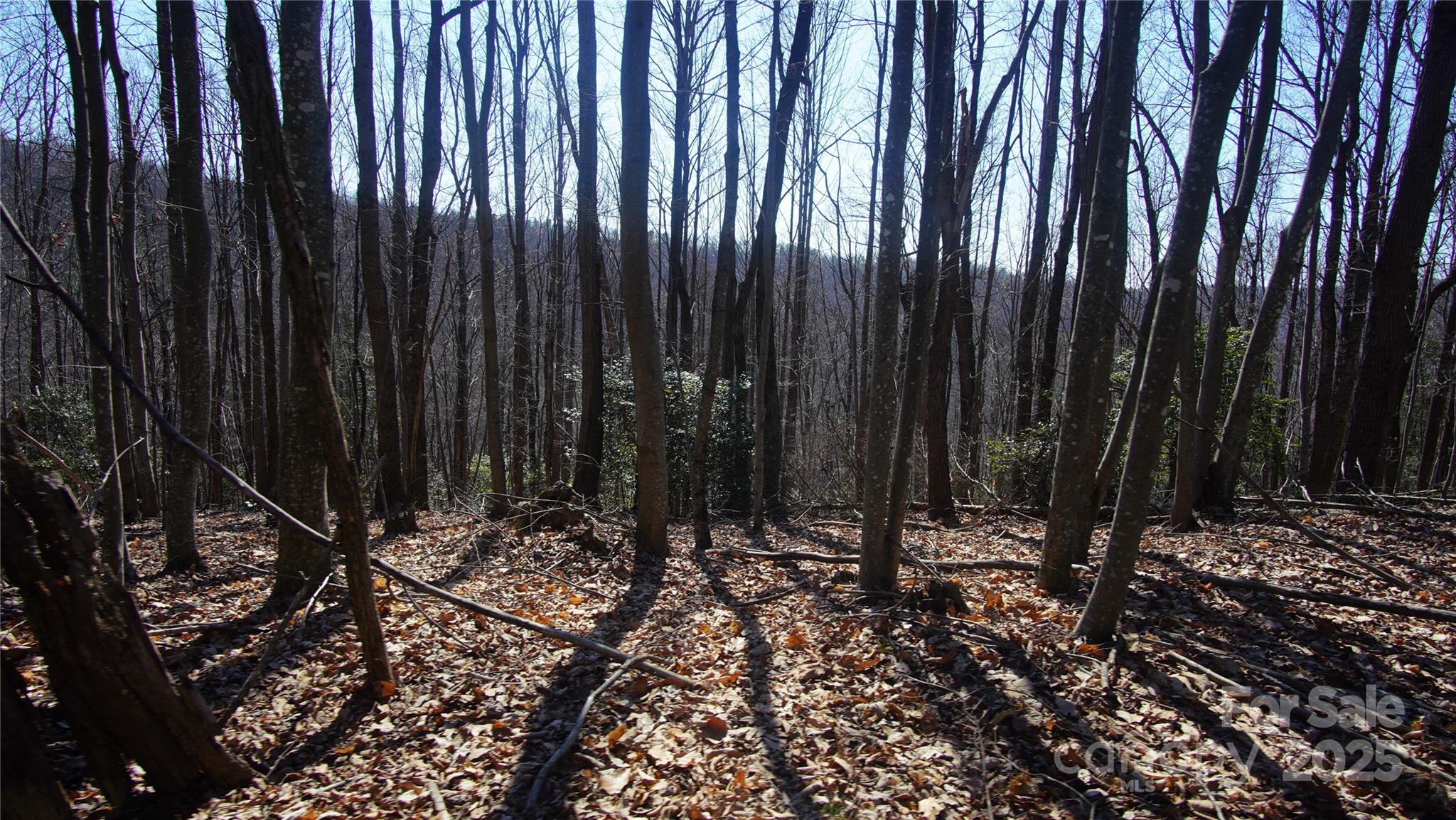 0 Vannoy Ridge Road Moravian Falls, NC 28654 - Photo 23 of 41 a view of wooden fence