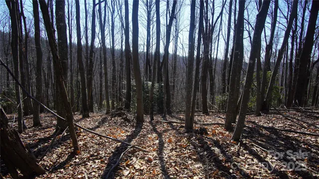 a view of wooden fence