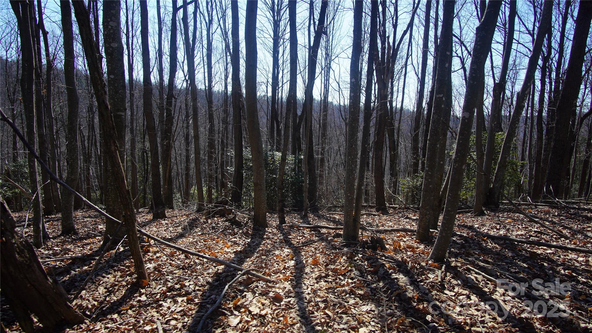 0 Vannoy Ridge Road Moravian Falls, NC 28654 - Photo 24 of 41 a view of wooden fence