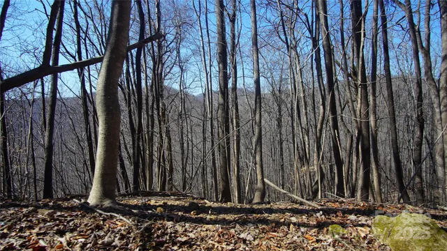 a view of a backyard of the house