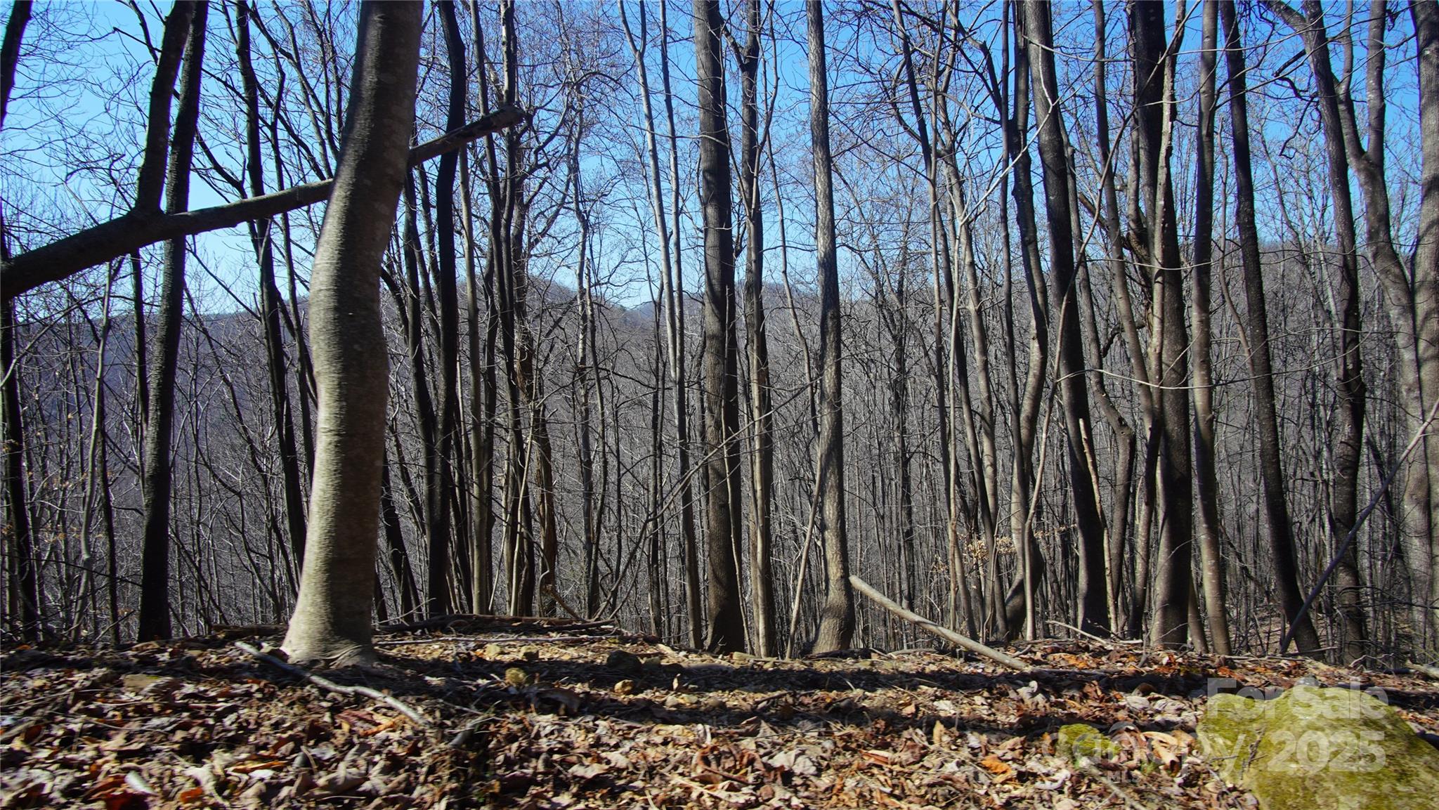 0 Vannoy Ridge Road Moravian Falls, NC 28654 - Photo 25 of 41 a view of wooden fence