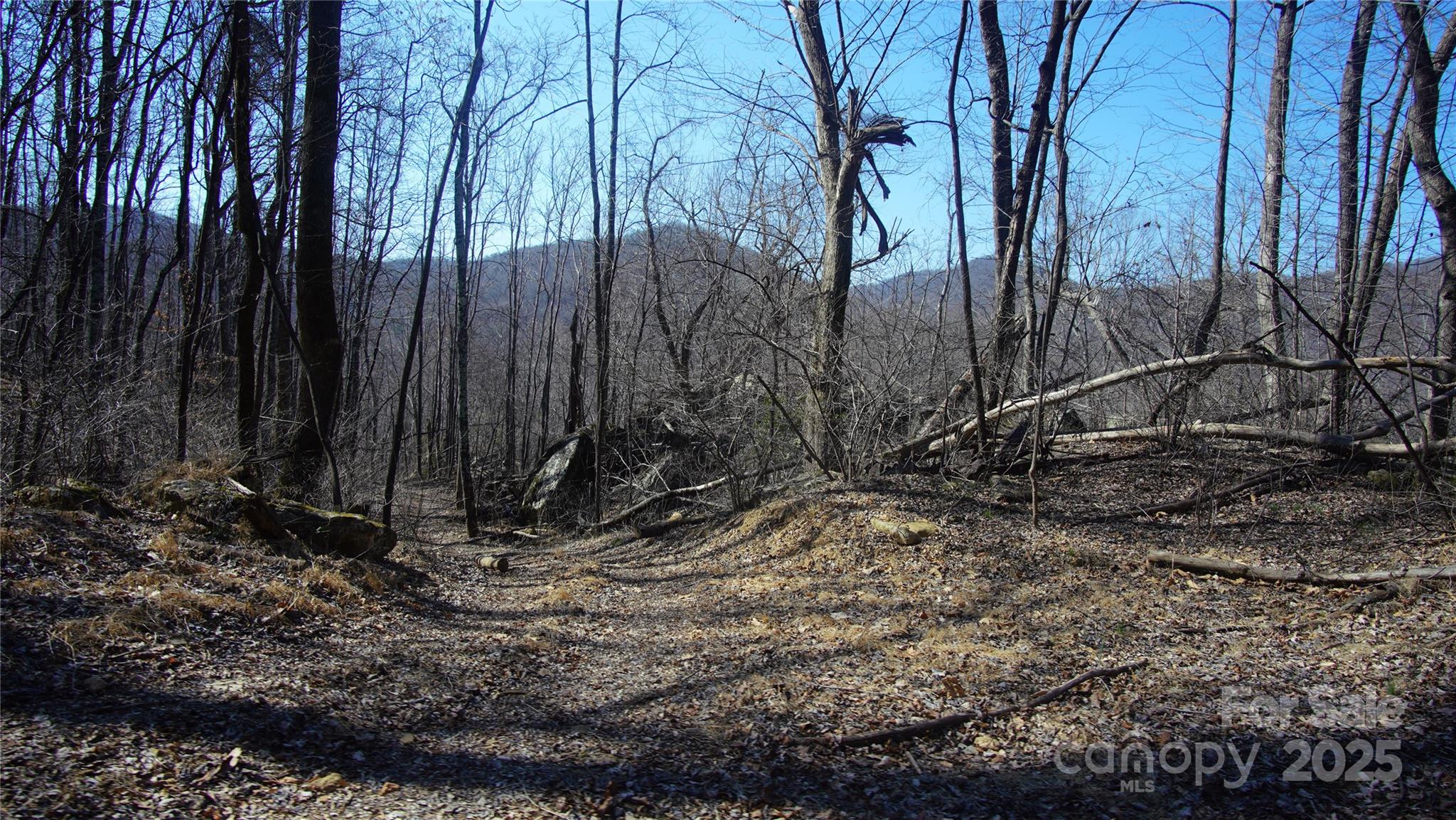 0 Vannoy Ridge Road Moravian Falls, NC 28654 - Photo 26 of 41 a view of a backyard of the house