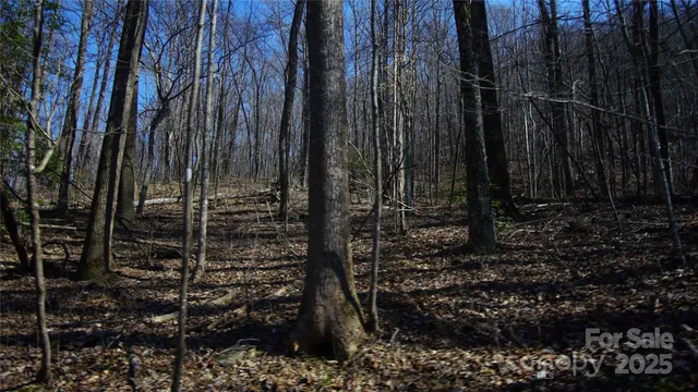 a view of a backyard with pathway