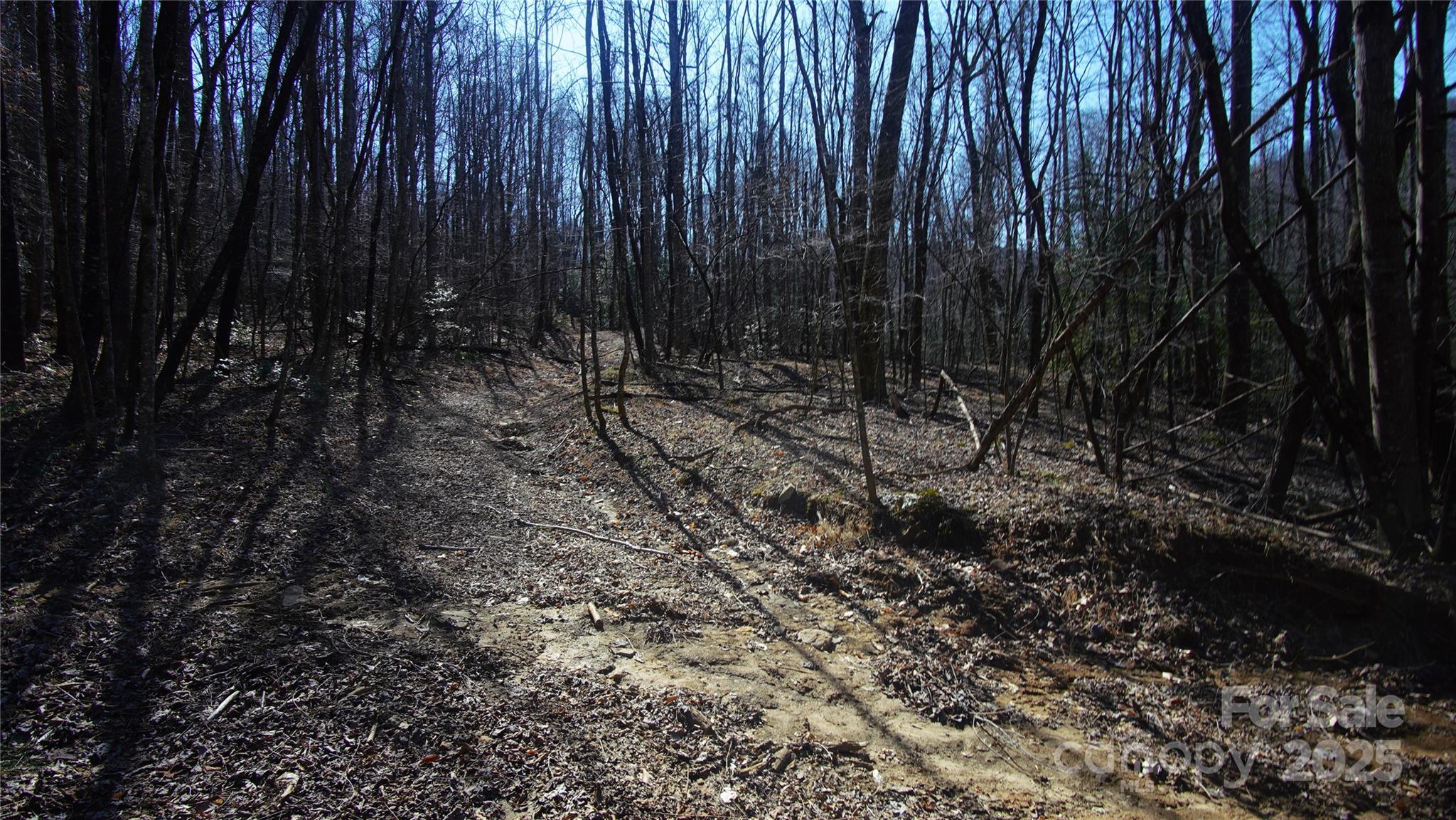 0 Vannoy Ridge Road Moravian Falls, NC 28654 - Photo 29 of 41 a view of a backyard with trees