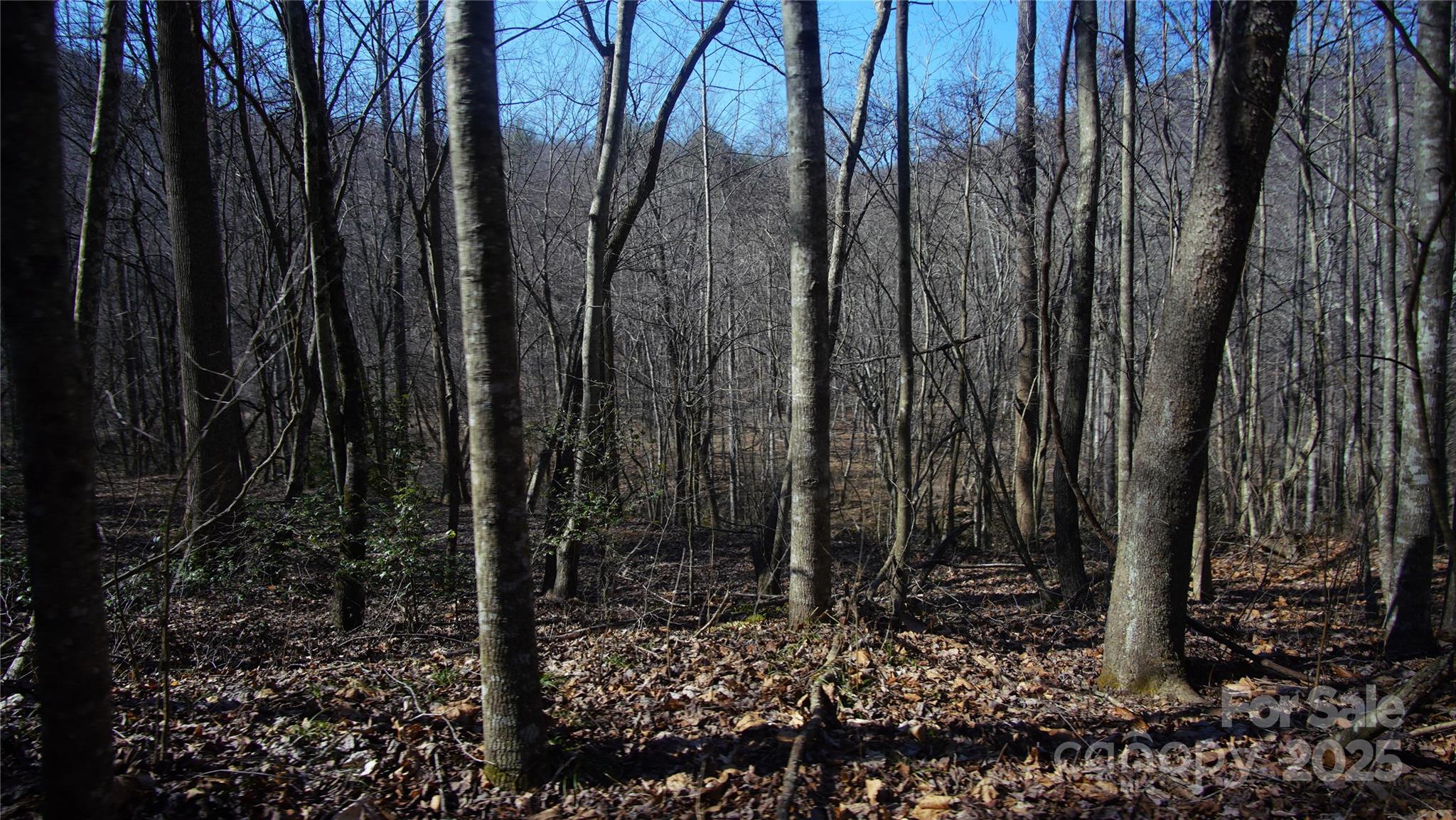 0 Vannoy Ridge Road Moravian Falls, NC 28654 - Photo 30 of 41