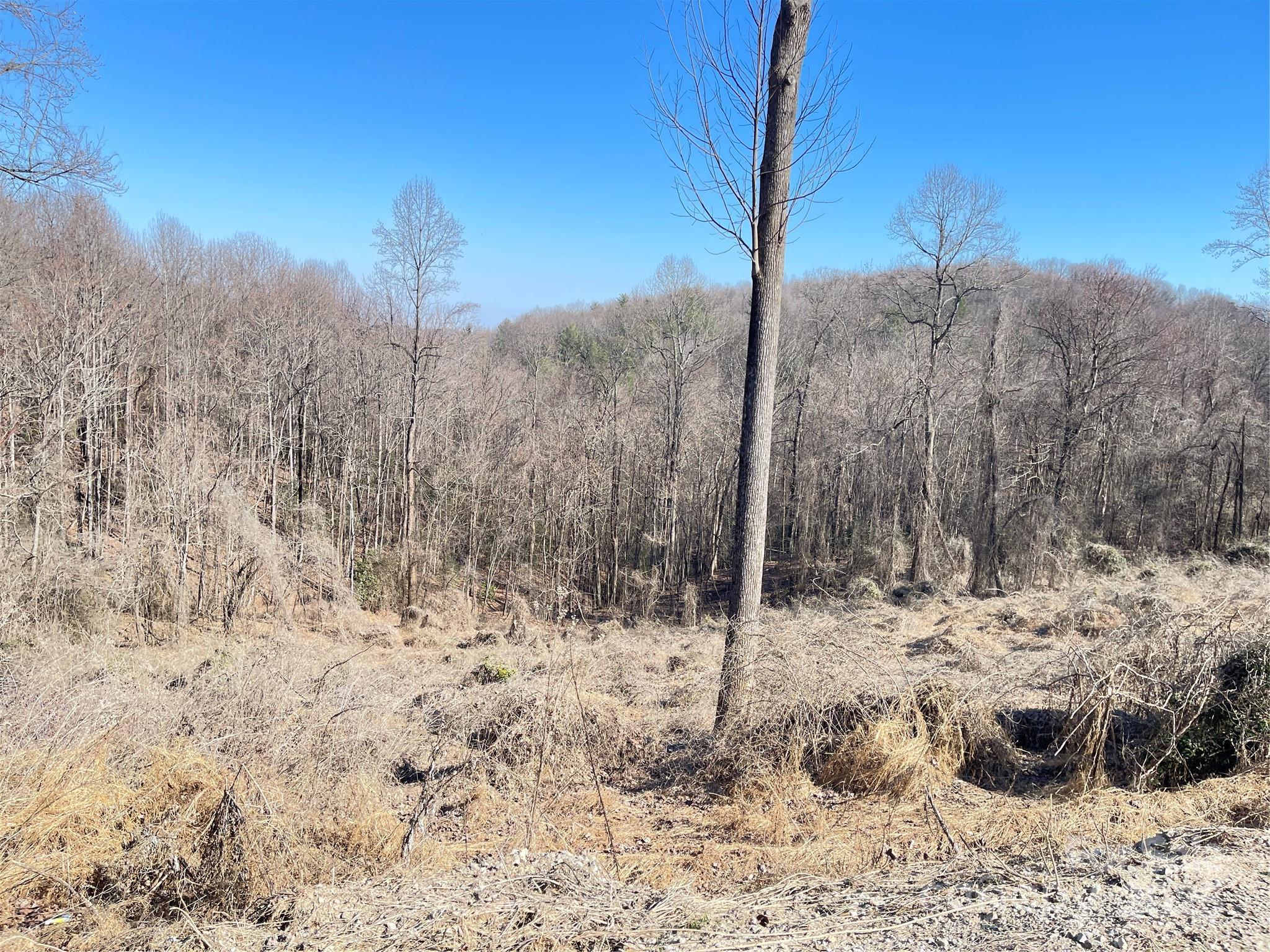 0 Vannoy Ridge Road Moravian Falls, NC 28654 - Photo 3 of 41 a view of a covered with snow on the road