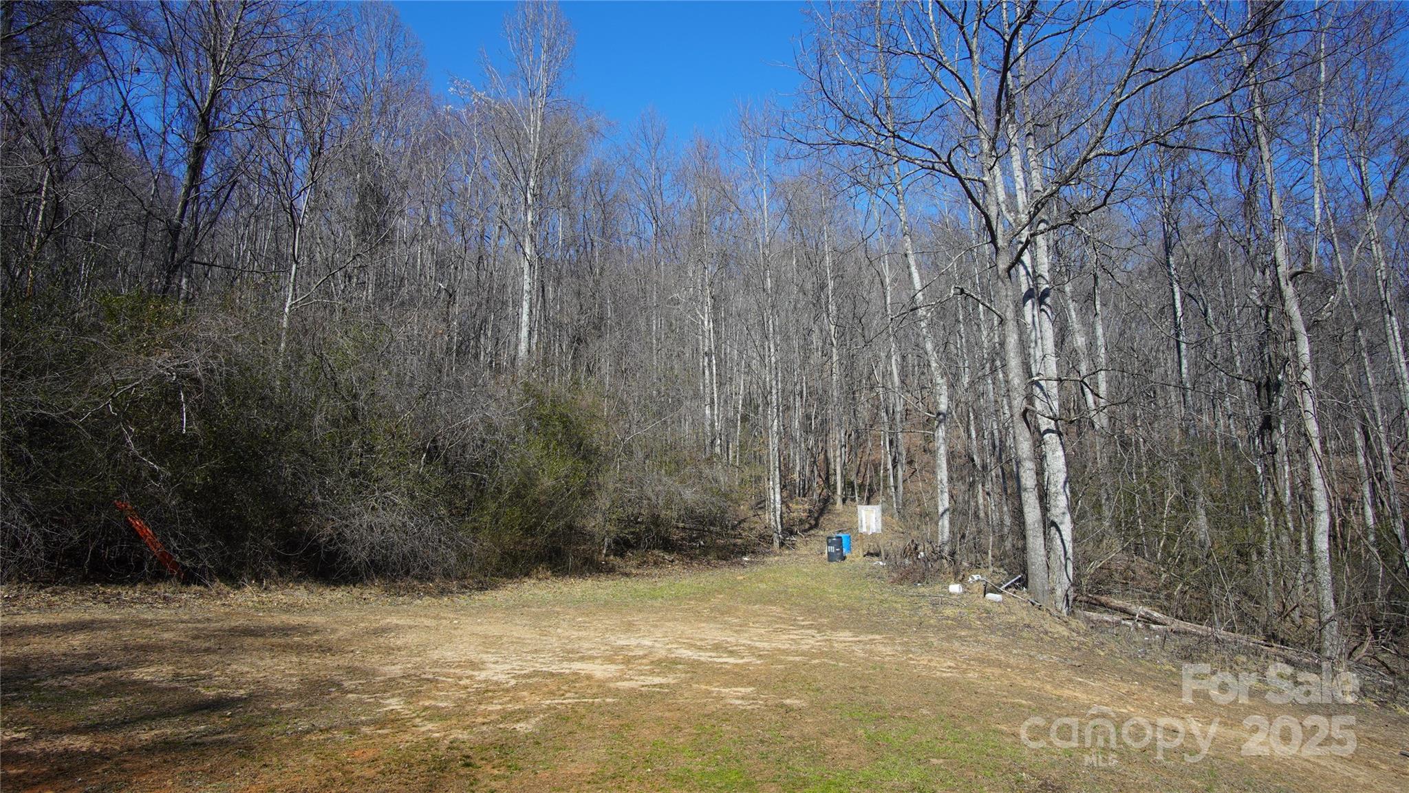 0 Vannoy Ridge Road Moravian Falls, NC 28654 - Photo 33 of 41 a view of outdoor space and yard