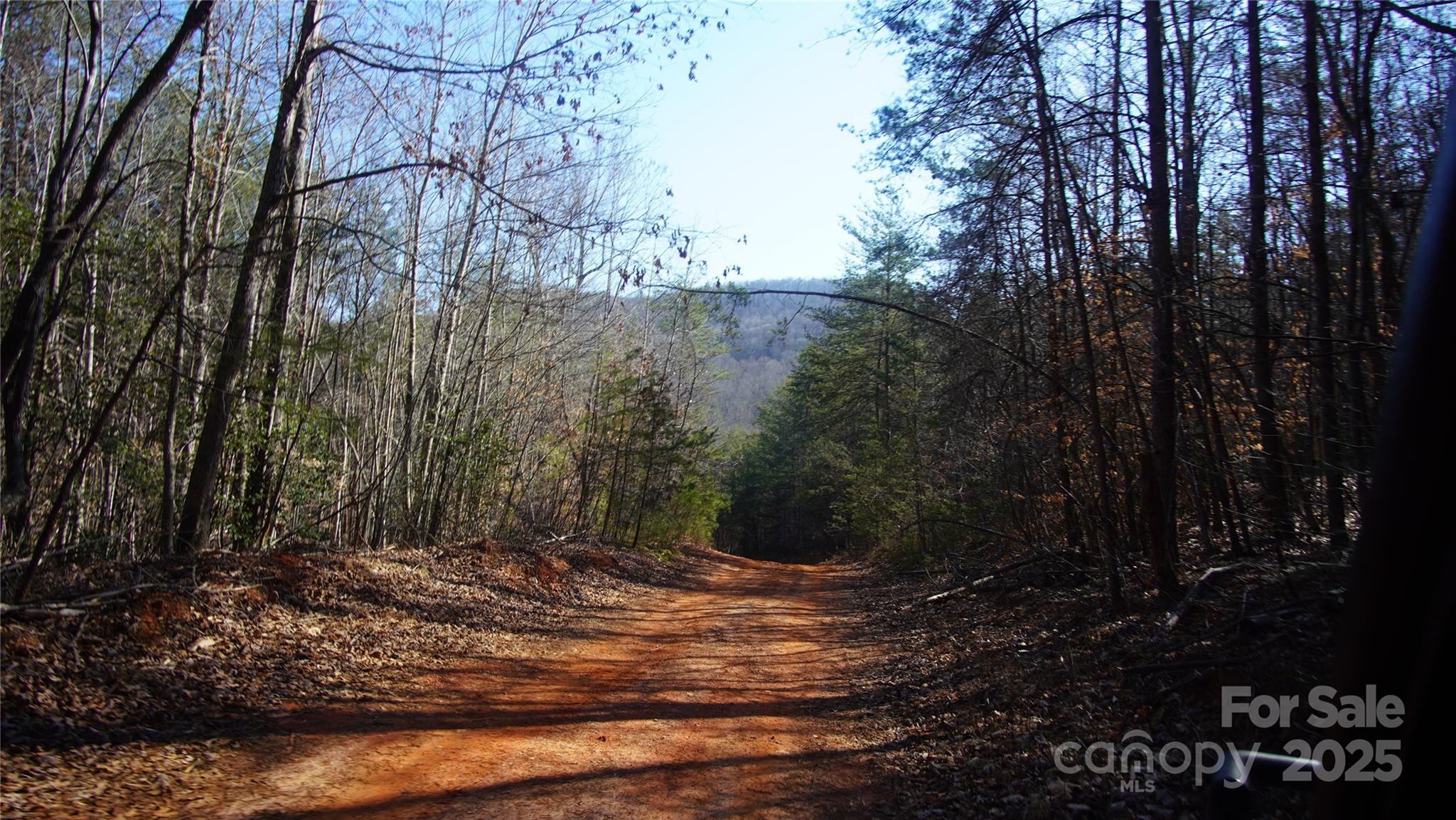 0 Vannoy Ridge Road Moravian Falls, NC 28654 - Photo 34 of 41 a view of a tree with a yard