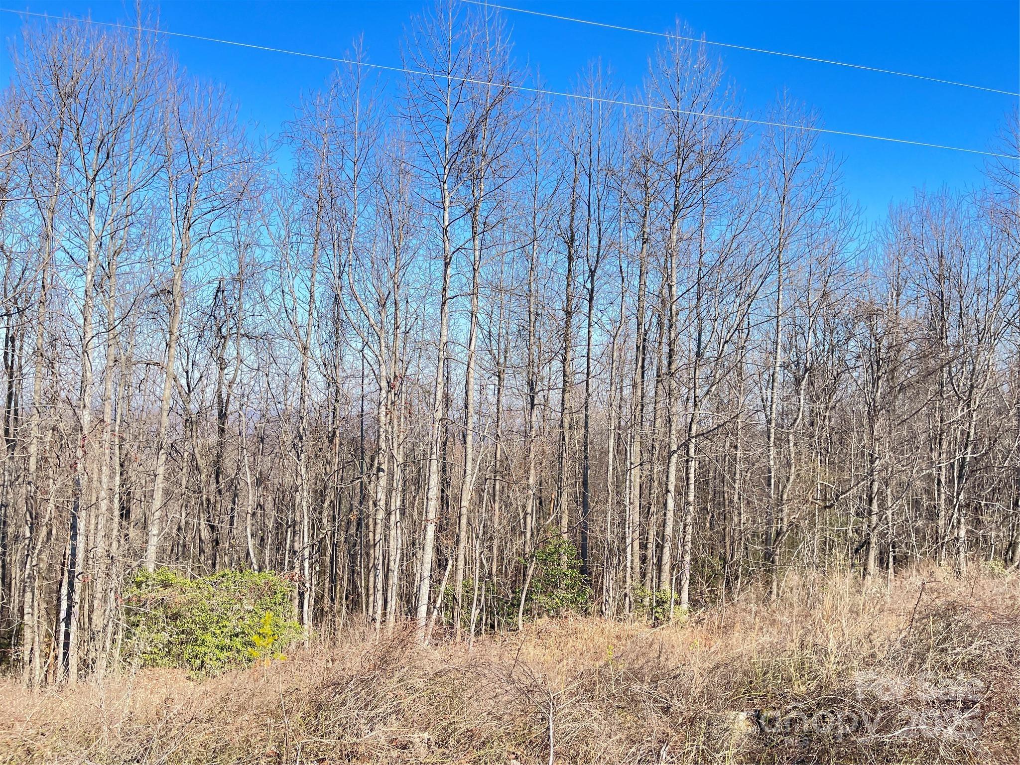 0 Vannoy Ridge Road Moravian Falls, NC 28654 - Photo 35 of 41 a view of backyard with wooden fence