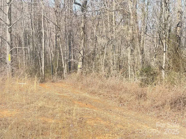 a view of wooden floor with a wooden fence
