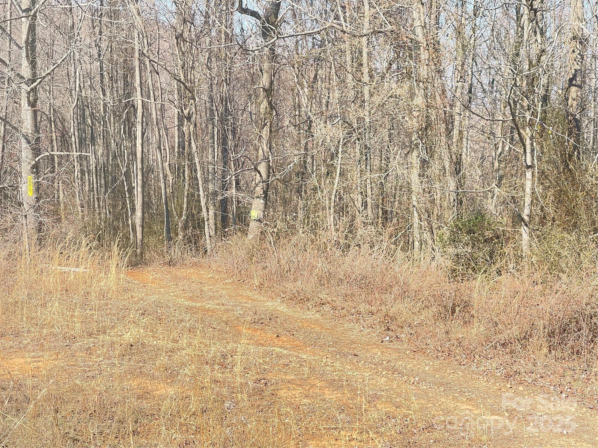 0 Vannoy Ridge Road Moravian Falls, NC 28654 - Photo 36 of 41 a view of small space with wooden fence
