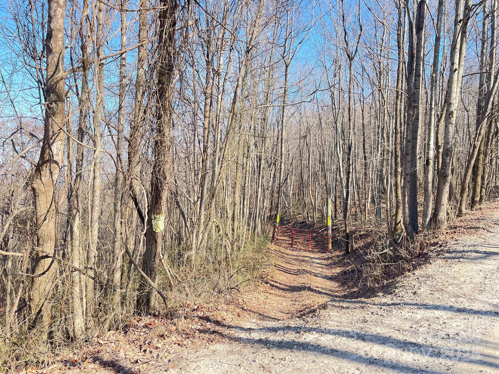 0 Vannoy Ridge Road Moravian Falls, NC 28654 - Photo 38 of 41