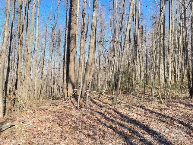 $4,909,600 | 0 Vannoy Ridge Road, Moravian Falls, NC 28654