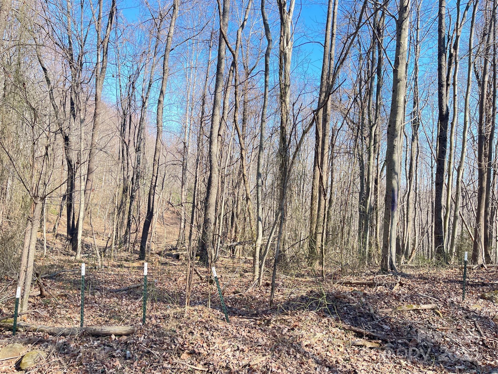 0 Vannoy Ridge Road Moravian Falls, NC 28654 - Photo 40 of 41 a view of a backyard