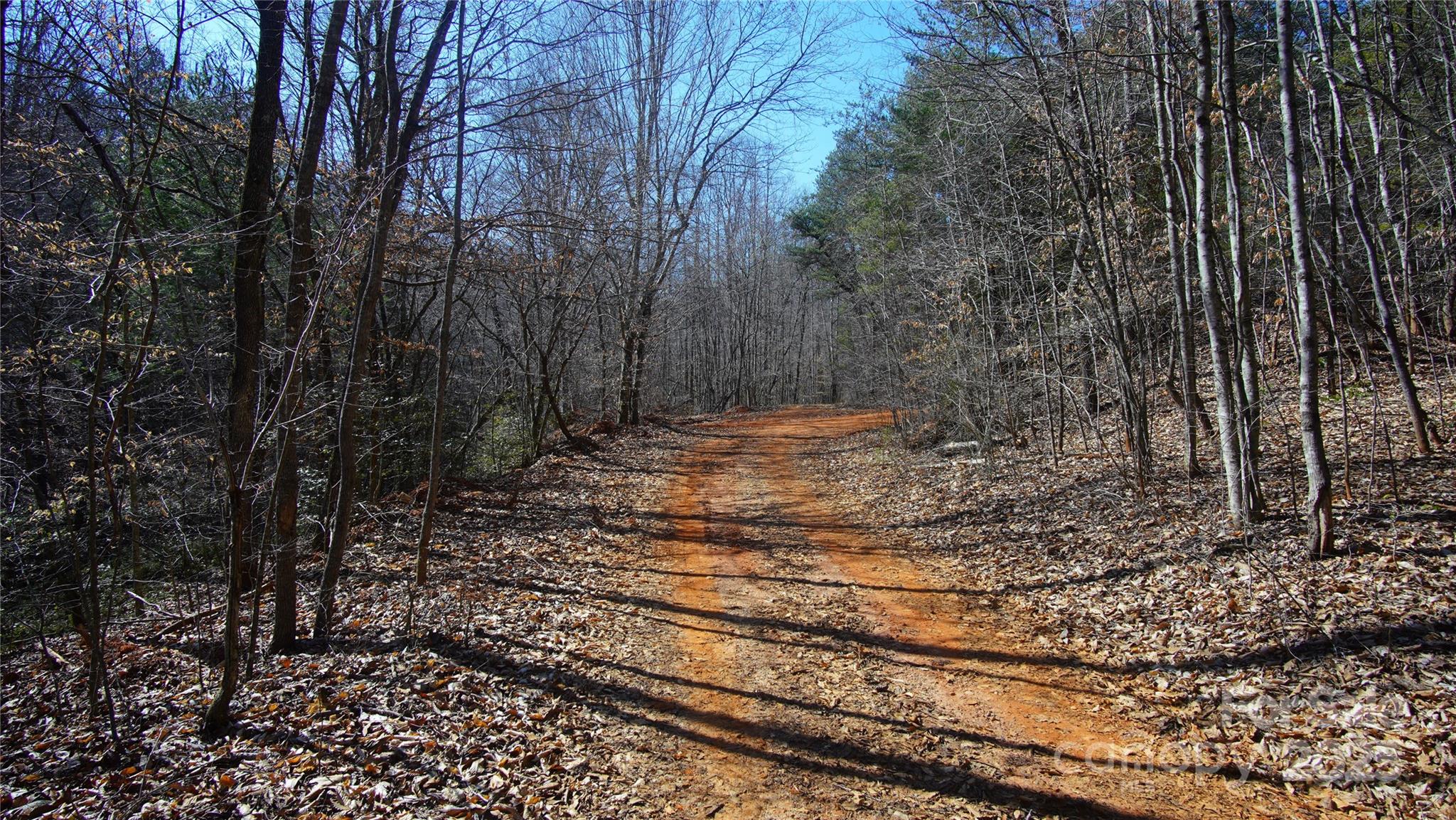 0 Vannoy Ridge Road Moravian Falls, NC 28654 - Photo 4 of 41 a view of a yard with trees