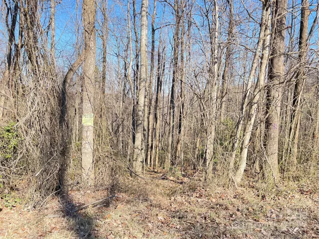 $4,909,600 | 0 Vannoy Ridge Road, Moravian Falls, NC 28654