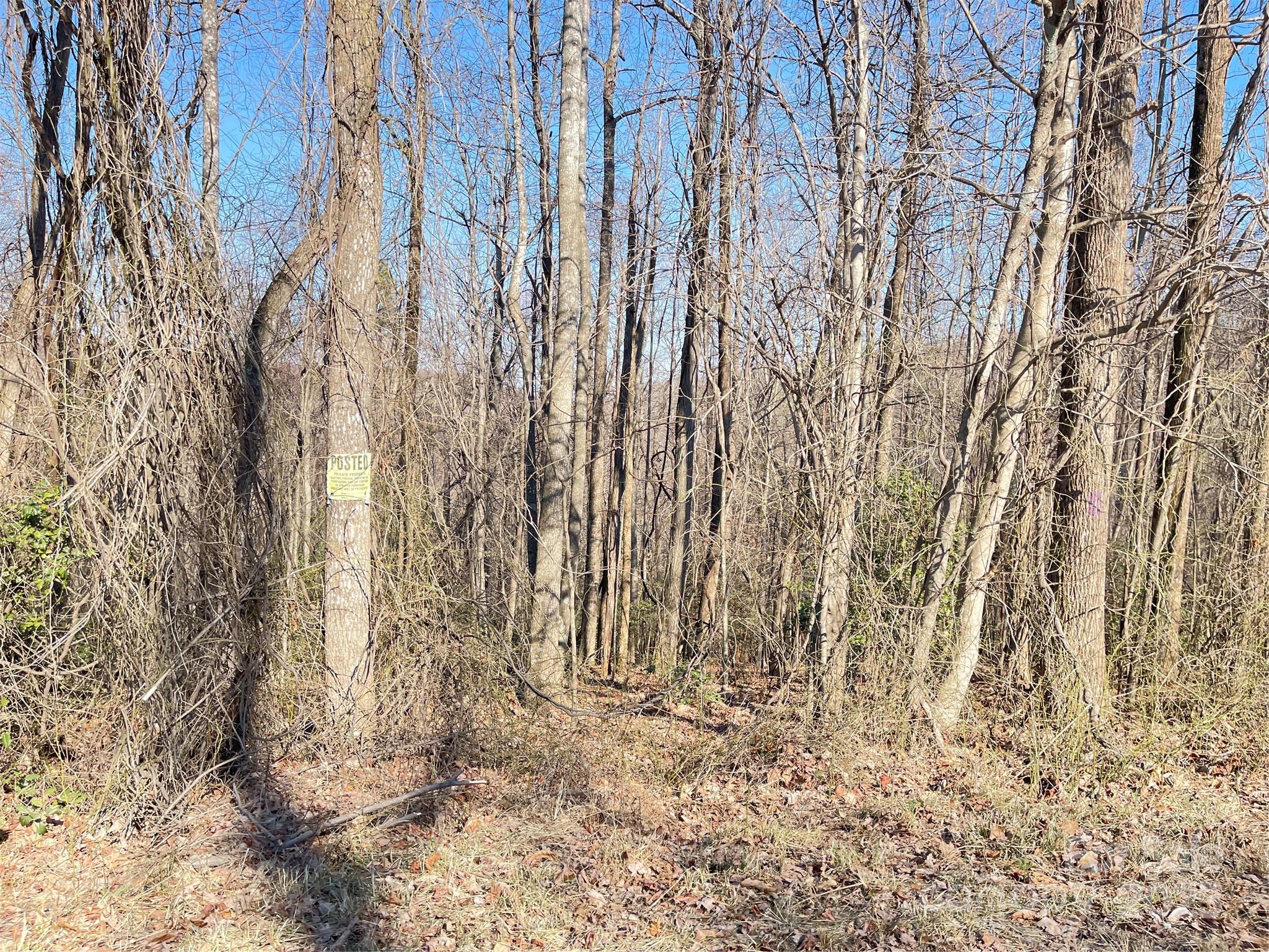 0 Vannoy Ridge Road Moravian Falls, NC 28654 - Photo 41 of 41