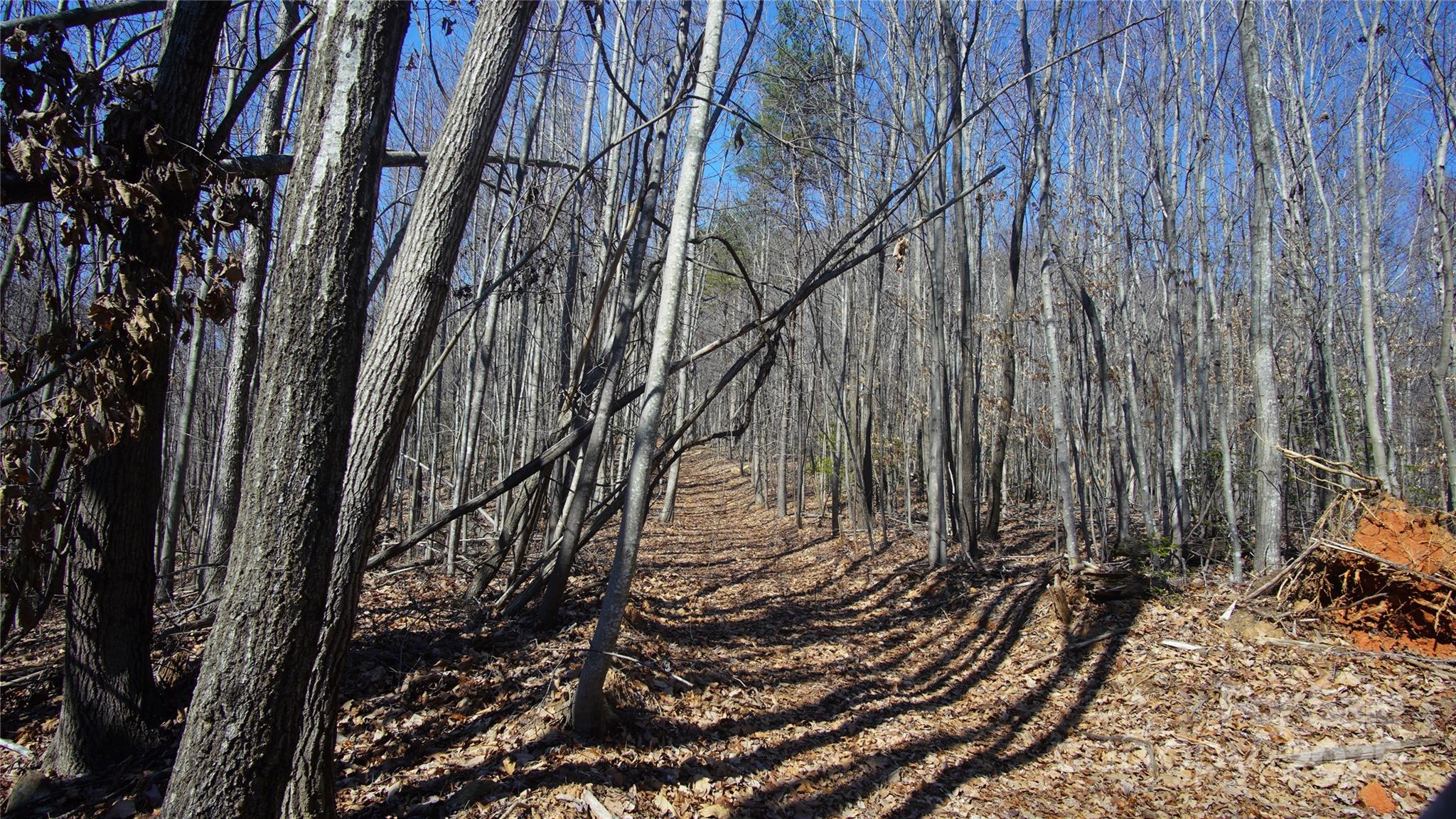 0 Vannoy Ridge Road Moravian Falls, NC 28654 - Photo 8 of 41 a view of a backyard of the house