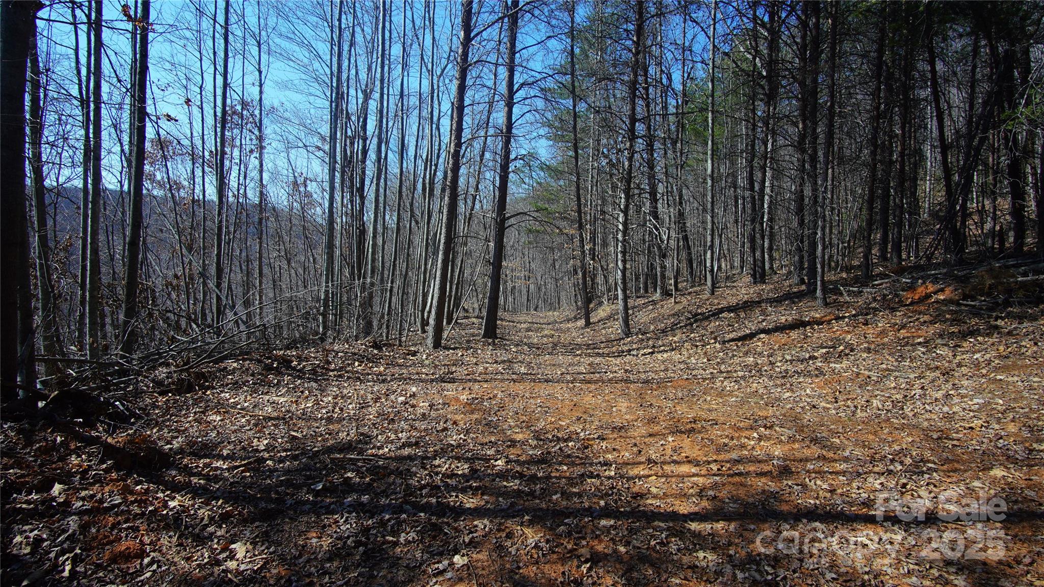 0 Vannoy Ridge Road Moravian Falls, NC 28654 - Photo 9 of 41 a view of a backyard with pathway