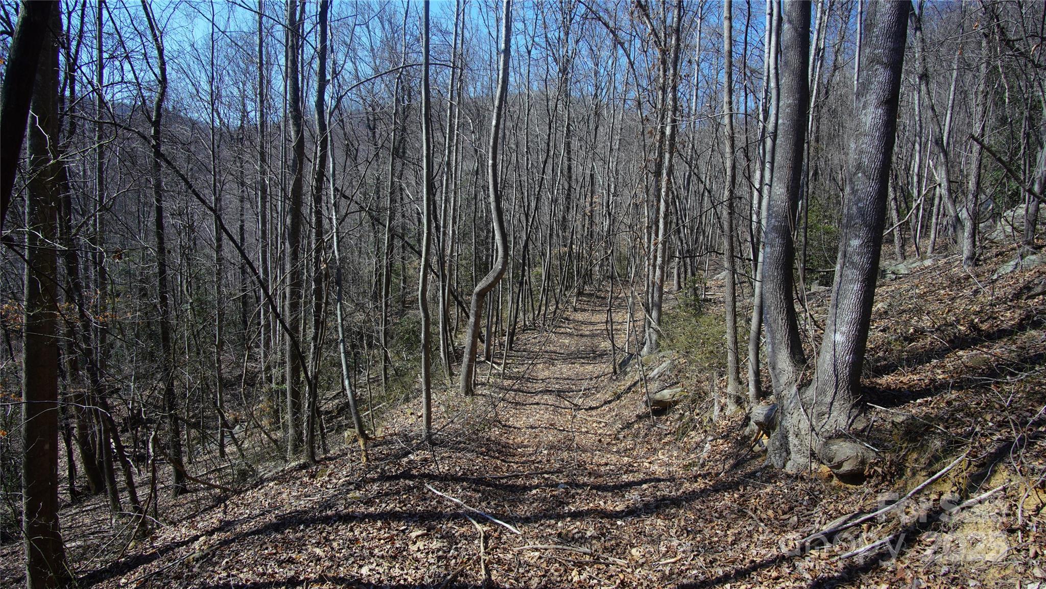 0 Vannoy Ridge Road Moravian Falls, NC 28654 - Photo 10 of 41 a view of a backyard with trees