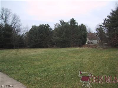 9999 Poolside Lane Dover, OH 44622 - Photo 1 of 4 Gallery Image 1